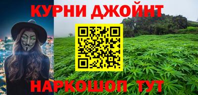 трава Сланцы