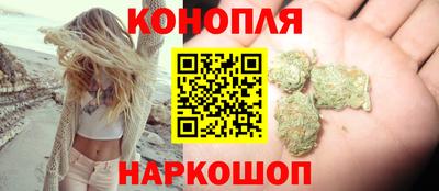 трава Сланцы