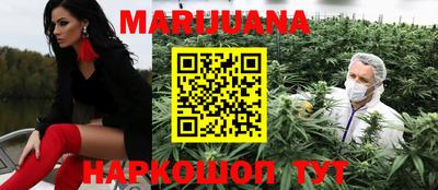 трава Сланцы