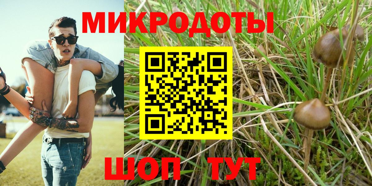 Псилоцибиновые грибы мухоморы Черкесск
